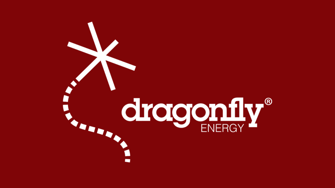 dragonfly